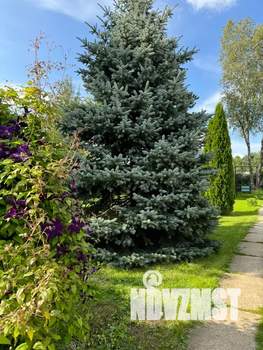 Дом 130м², 2-этажный, посуточно,