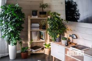 Дом 75м², 1-этажный, посуточно,