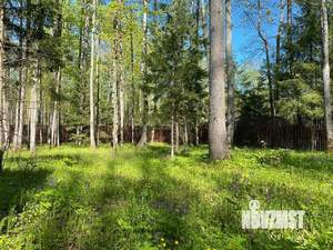 Дом 132м², 1-этажный, участок 15 сот.