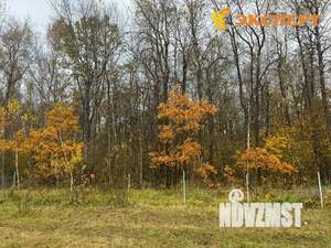 Дом 125м², 1-этажный, участок 10 сот.