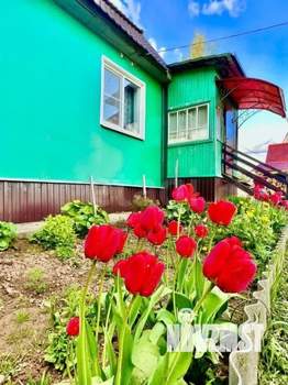 Дом 200м², 1-этажный, участок 26 сот.