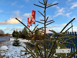 Дом 130м², 1-этажный, участок 10 сот.