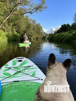 Дом 45м², 2-этажный, посуточно, 