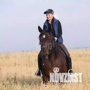 Дом 310м², 2-этажный, участок 160 сот.  