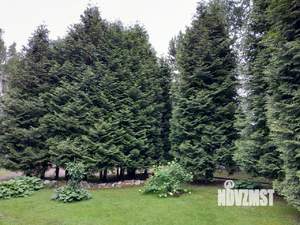 Дом 250м², 3-этажный, участок 20 сот.  