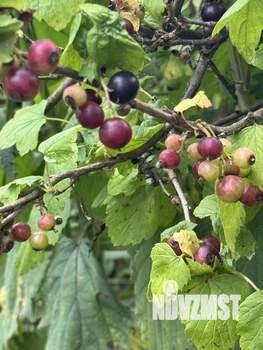 Дом 40м², 2-этажный, участок 6 сот.  