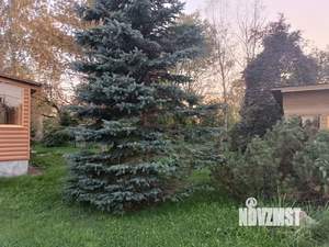 Дом 130м², 2-этажный, участок 16 сот.  