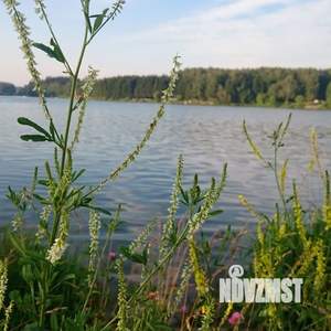 Коттедж 250м², 2-этажный, участок 16 сот.  