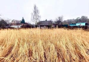 Дом 31м², 1-этажный, участок 6 сот.  