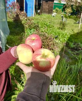 Дом 89м², 2-этажный, участок 6 сот.  