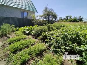 Дом 47м², 1-этажный, участок 28 сот.  