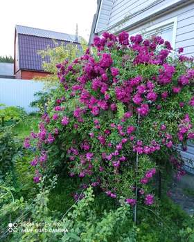 Дом 89м², 2-этажный, участок 6 сот.  