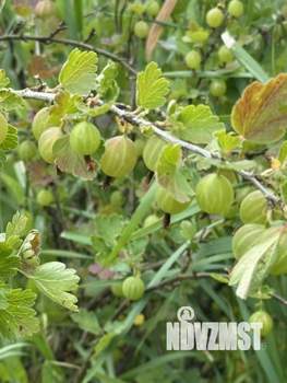 Дом 40м², 2-этажный, участок 6 сот.  