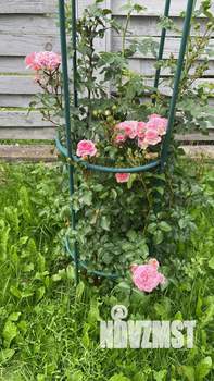 Дом 88м², 2-этажный, участок 6 сот.  