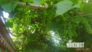 Дом 110м², 2-этажный, участок 18 сот.  