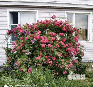 Дом 89м², 2-этажный, участок 6 сот.  