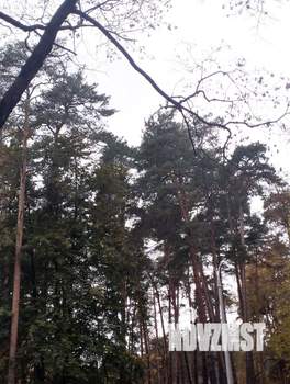 1-к квартира, вторичка, 33м2, 5/9 этаж