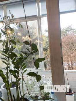 1-к квартира, вторичка, 33м2, 5/9 этаж