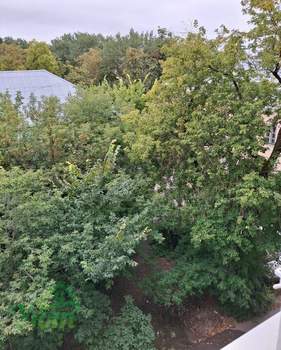 1-к квартира, вторичка, 18м2, 4/5 этаж