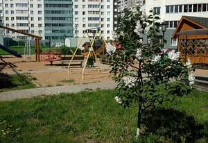 3-к квартира, вторичка, 70м2, 6/17 этаж