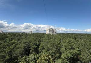1-к квартира, вторичка, 31м2, 10/12 этаж