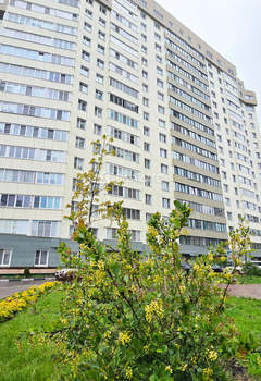 1-к квартира, вторичка, 64м2, 4/18 этаж