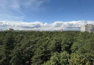 1-к квартира, вторичка, 31м2, 10/12 этаж